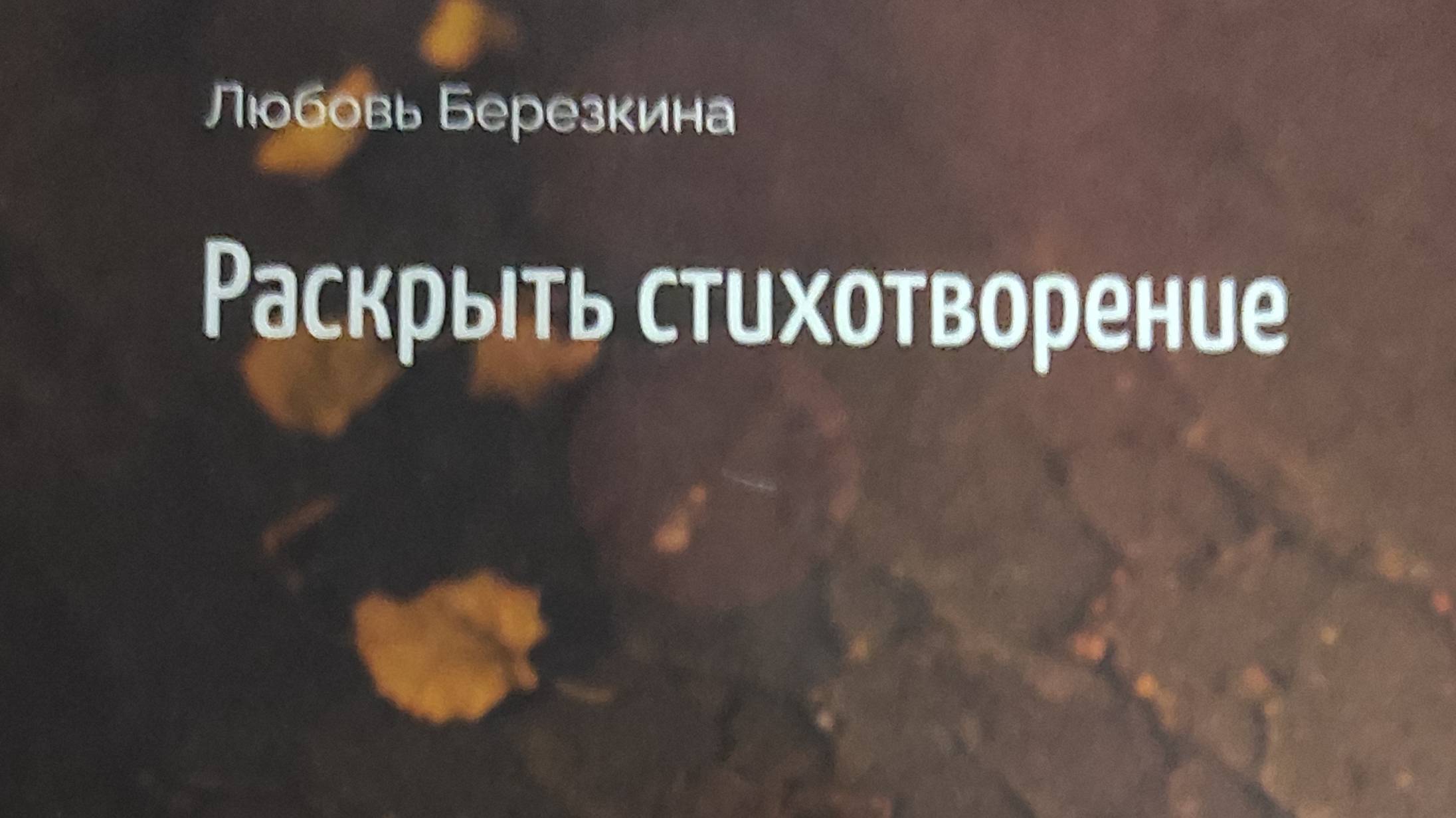 КНИГА 858 Любовь Берëзкина (Артюгина). Раскрыть стихотворение (М.: Стеклограф, 2020)