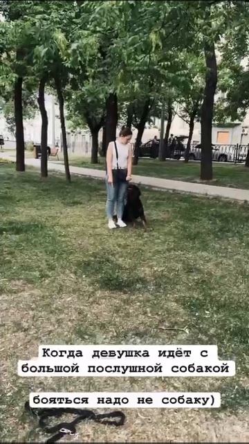 Когда девушка идет с большой послушной собакой, бояться надо не собаку)