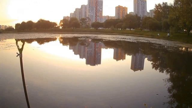 ПИТЕР ❤️РЫБАЛКА 🎣🎣🎣