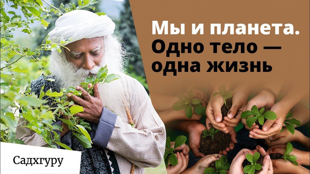 Мы и планета. Одно тело, одна жизнь
