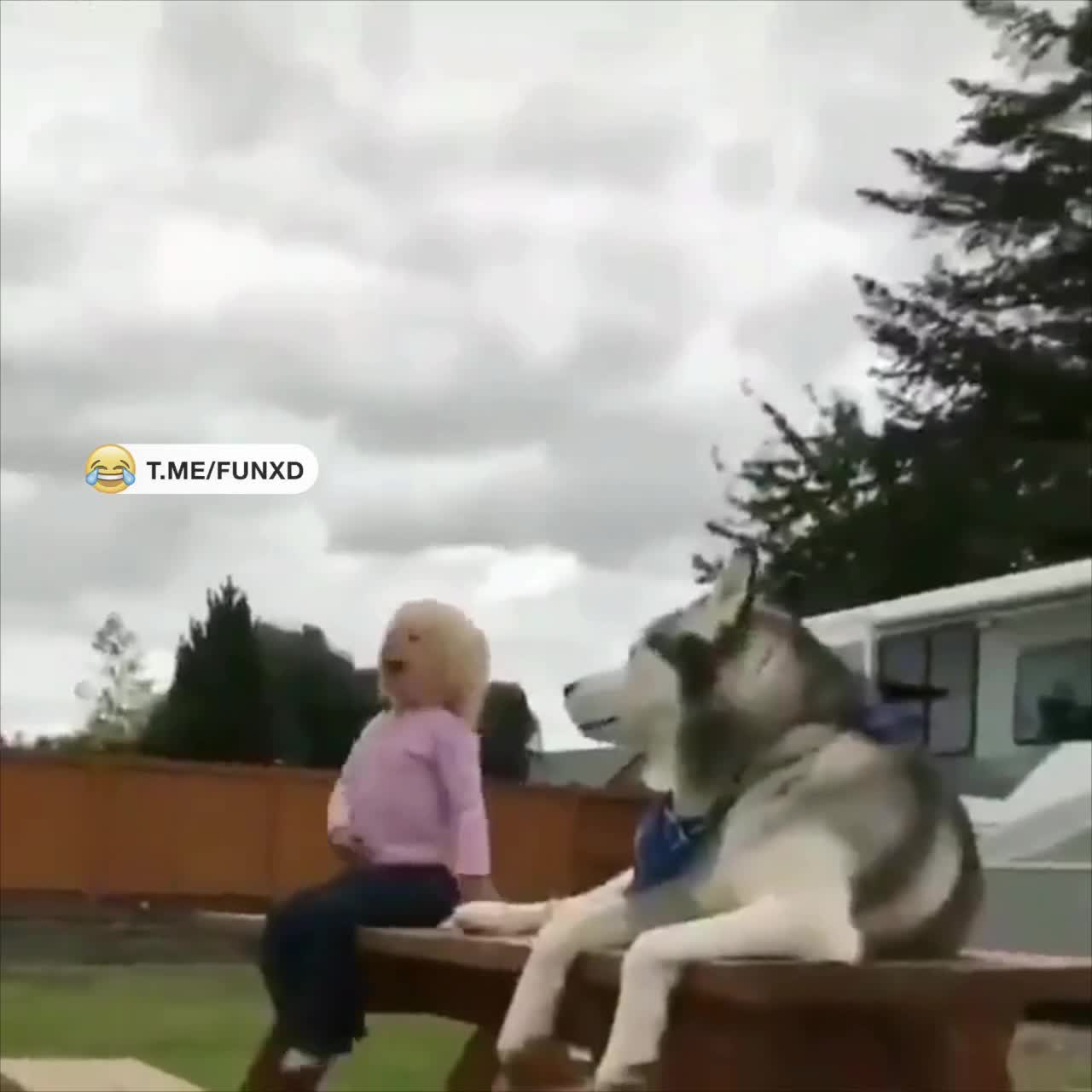 А как родители дома счастливы🤣
