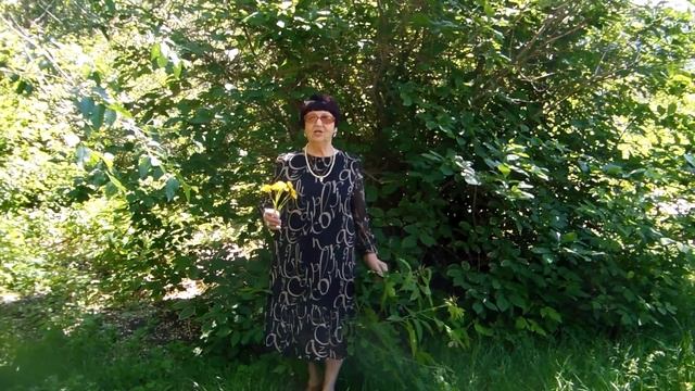 video_9942133377649.mp4