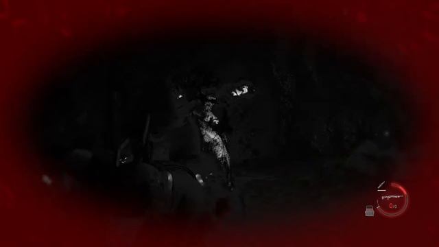 А ВОТ И НОВАЯ ЛОКАЦИЯ ➤ Resident Evil 4 Remake #10