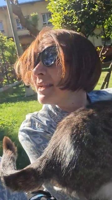 Турецкие котики🐈⬛🐈🐈⬛🐈🐈⬛