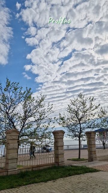 #архипоосиповка#альбатрос#море#обзор#май#arkhposipovka#albatross#sea#review#May