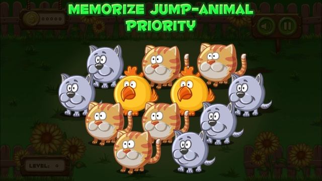 Funny Animals