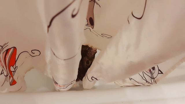 VID_20250603202720685.mp4