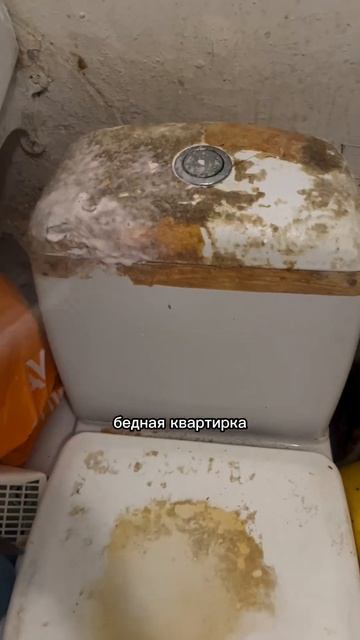 Клининг Москва / Питер