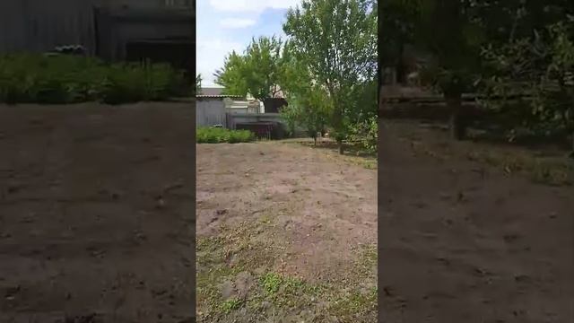 Земельный участок с. Колтуновка специалист Лухтан Наталья, номер в базе 8481418