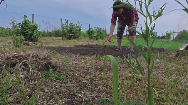 Лес дремучий, но на пользу. Дела житейские