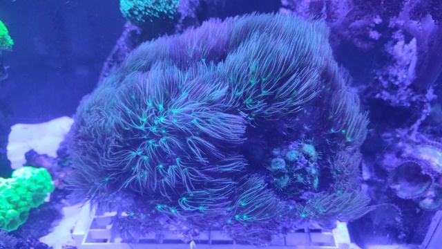VID_20250603_210453