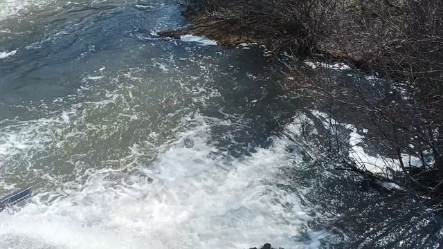 Бурная река