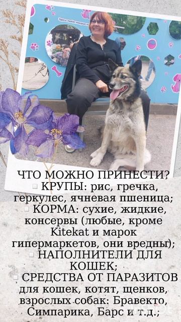 ждём тебя на акции 2025 
#саратов #вдобрыерукисаратов #верностьсаратов