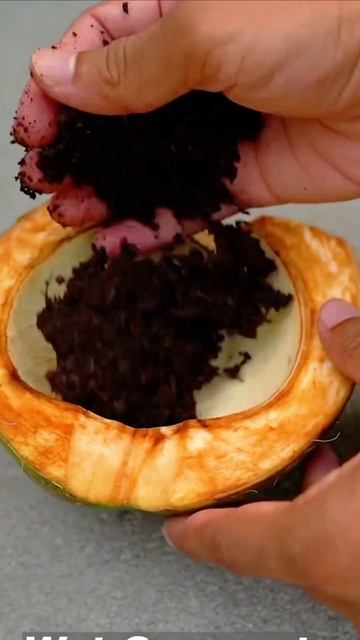 How to grow best mango