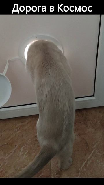 на балкон