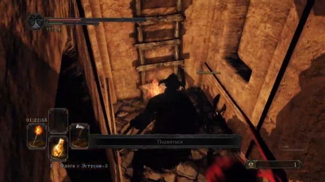 Концентрат злобы I Dark souls 2