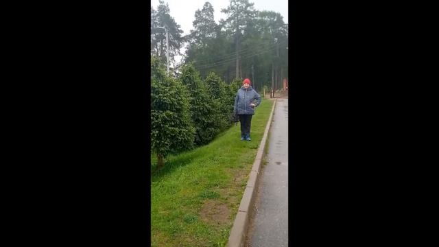 Леди душа   Автор, музыка и поёт Влад Корнилов