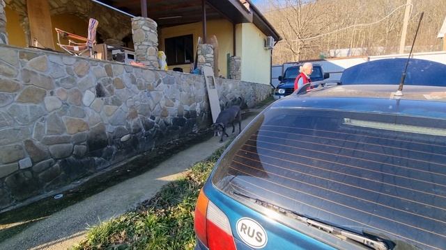 20221223_141802.mp4