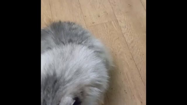 Елочка из синельной проволоки