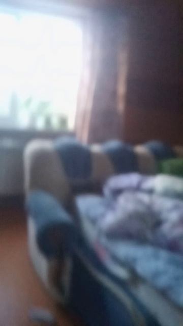 VID_20250603_220441.mp4