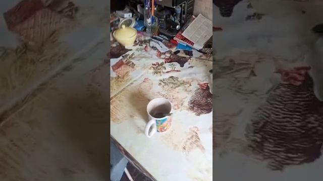 прогулка и  моя рассада