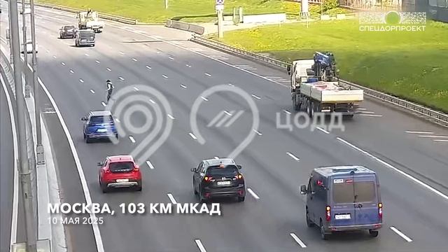 Пытался перебежать МКАД😱