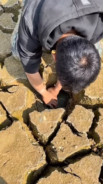 Boy Found a Fish Inside The Soil #shortsvideo
