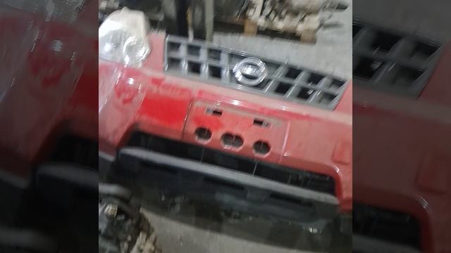 t31