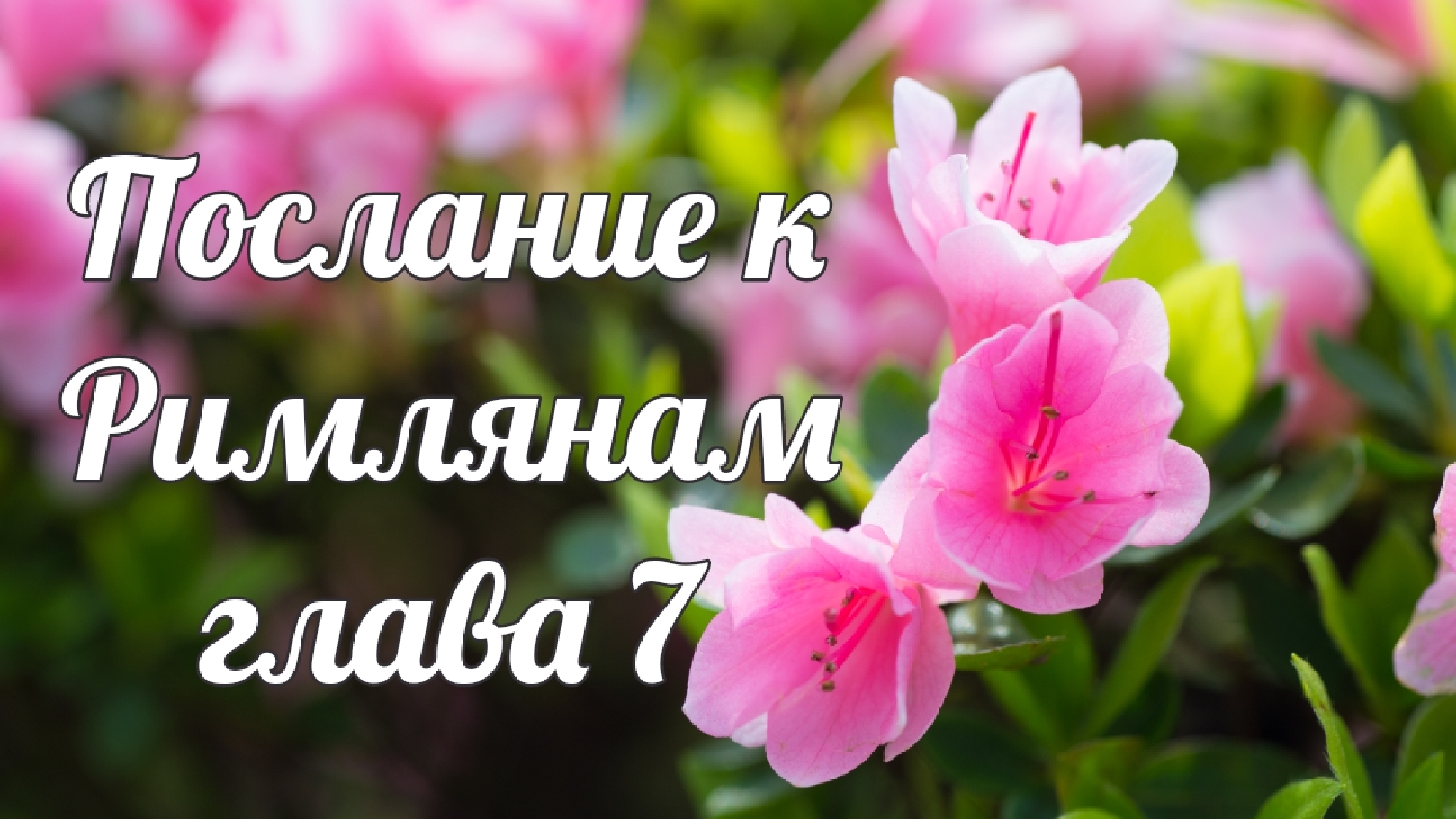 Послание к Римлянам глава 7