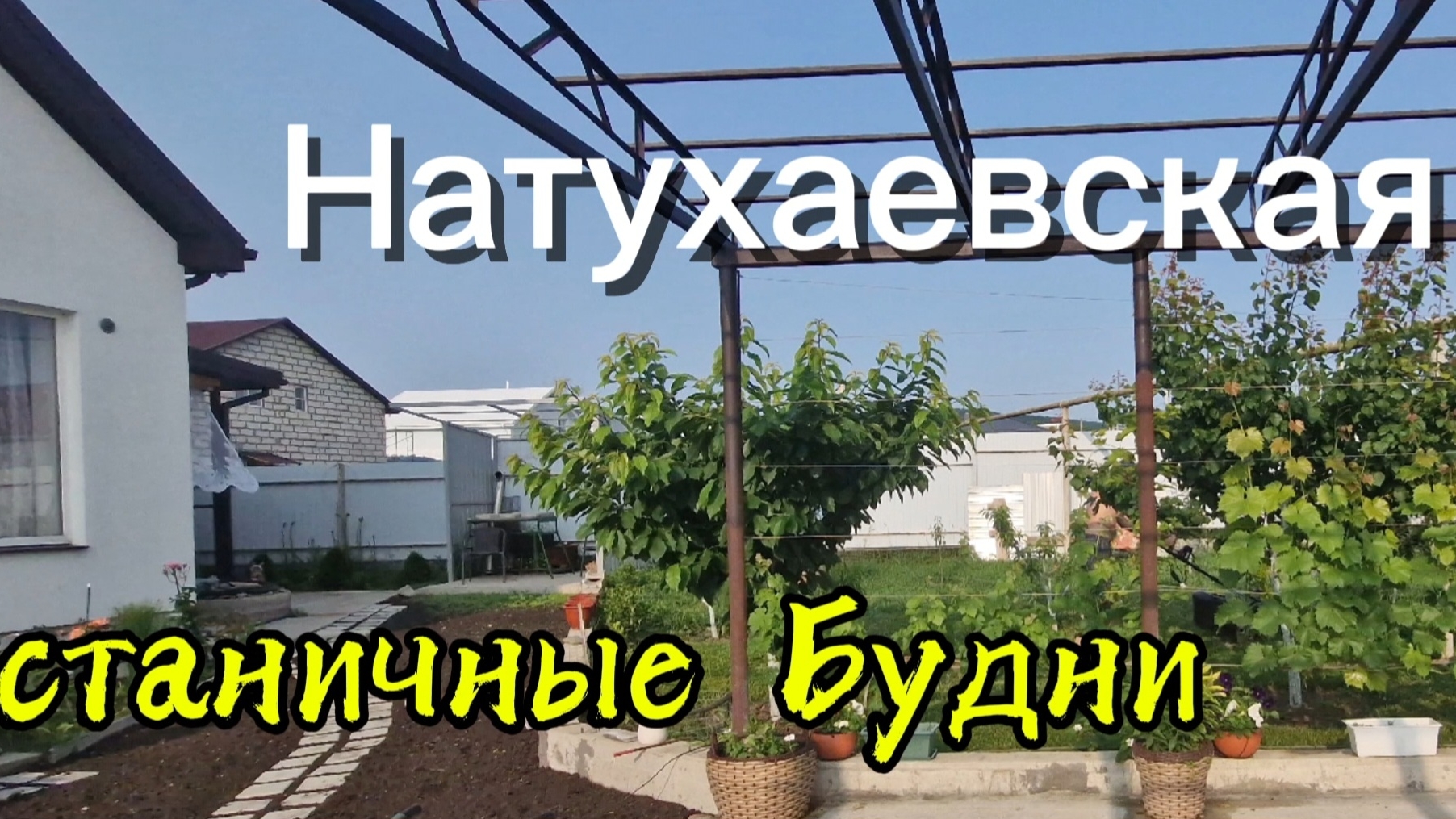 Живем на ЮГЕ.Натухаевские будни.Хурма/Инжир/огород/газон