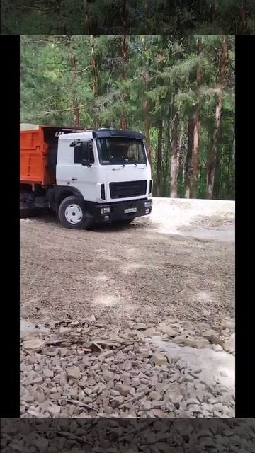 маз 5516