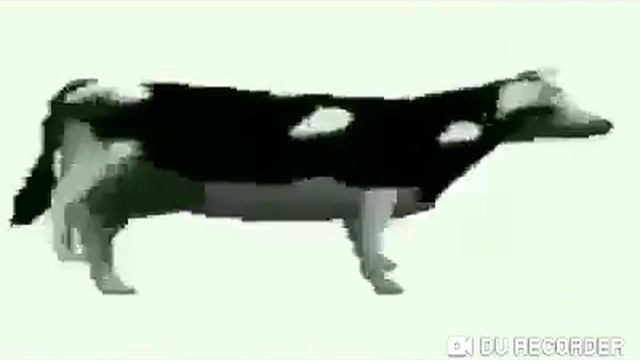 #танцы