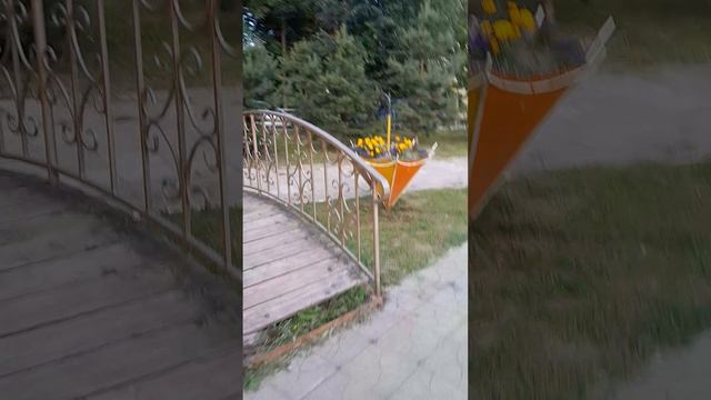 1000027202.mp4Ржев.03.06.2025г.