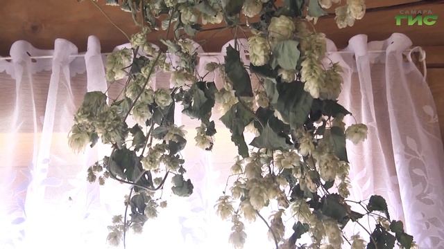 "Белорусы" / "Самара многонациональная" 27.05.2024