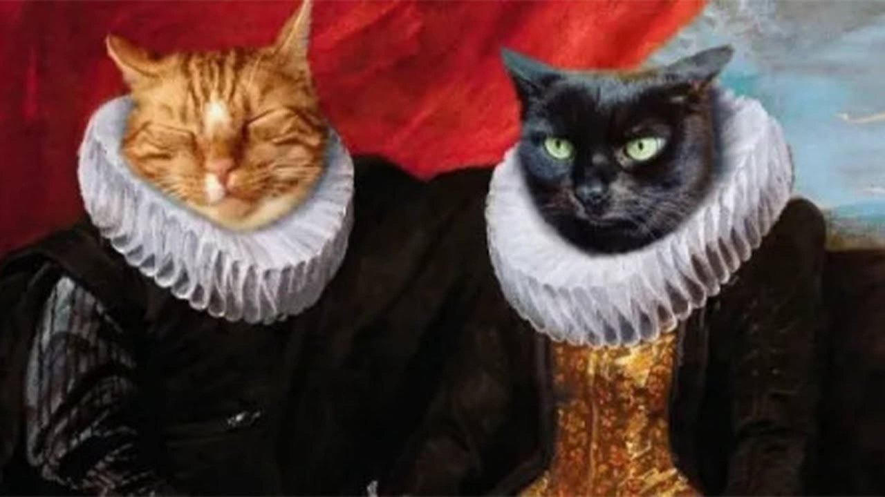 СМЕШНЫЕ КОТЫ 2025 ЛУЧШИЕ ПРИКОЛЫ С КОТАМИ, КОШКИ, КОТИКИ, СОБАЧКИ, СМЕШНОЕ ВИДЕО