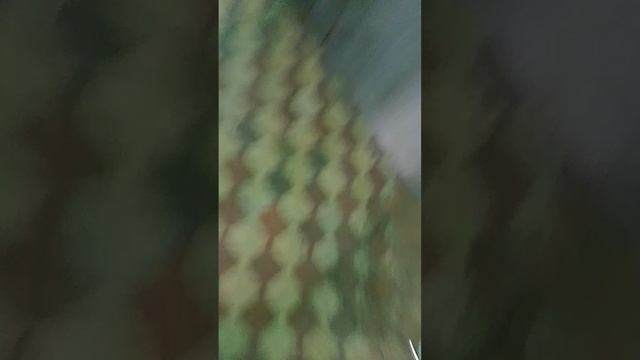Я в общаге вторая часть