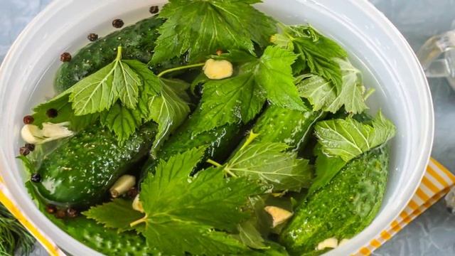 Бабушкин рецепт огурцов