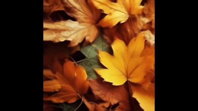 Чёрный кофе - Листья.