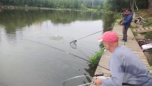 Почти дуплет))