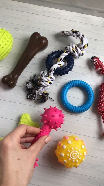 Распродажа игрушек для собак