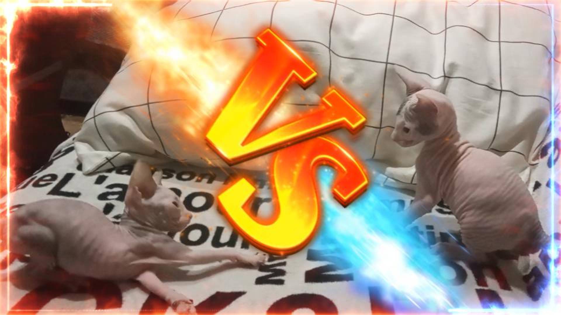 Tekken Kitten Arena: Cute Clash of Paws!