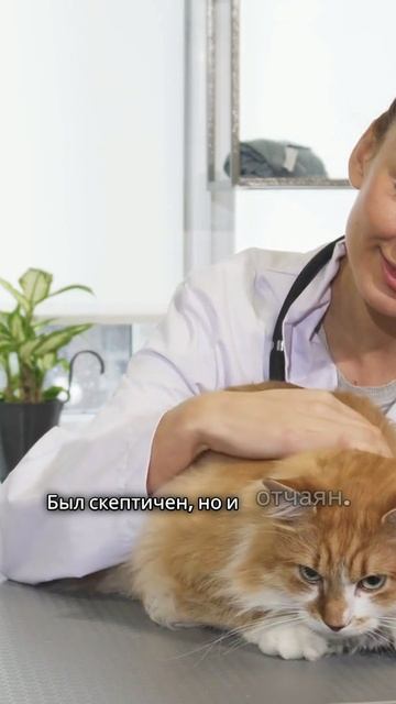 Когда обращаются к терапевту