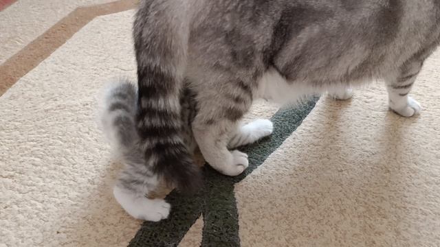 Нежность 💕.mp4