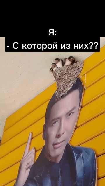 Кукухи