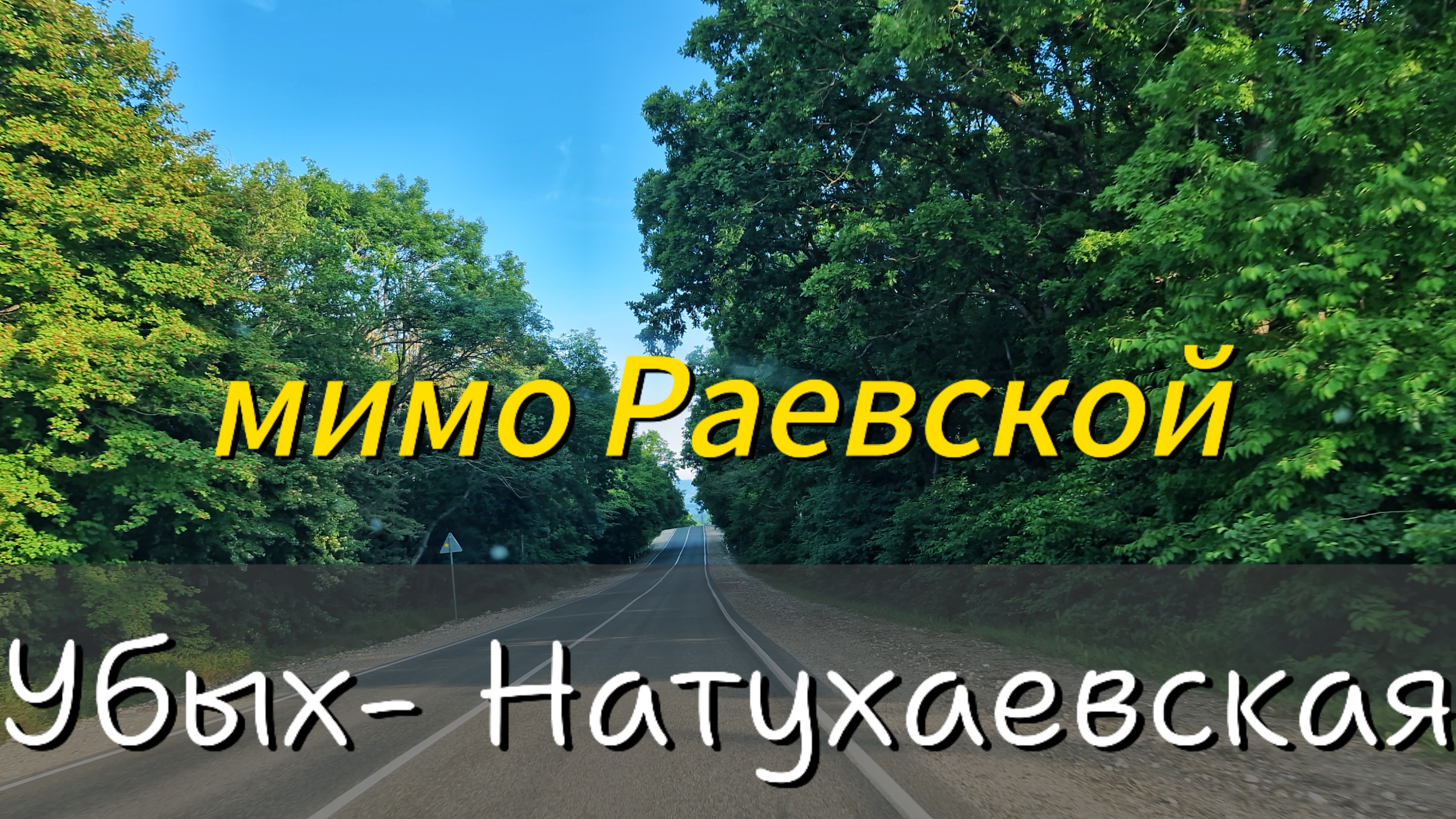 Дорога.Лес.Горы.Виноградники.ЗАКАТ южный