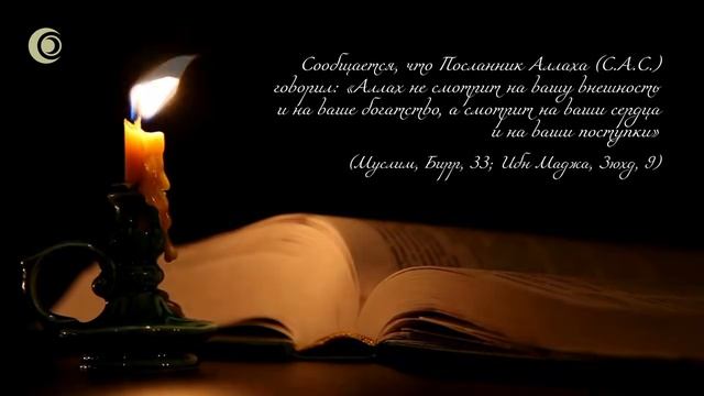 Зачем мусульмане режут животных? Вся правда о Курбане