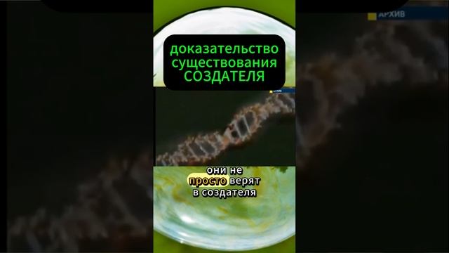 Создатель есть!#реки