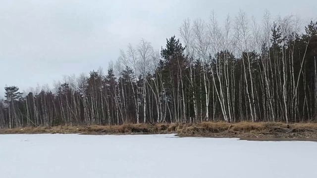 Велопоход на болото Оршинский Мох - test-2025-06-04_233430