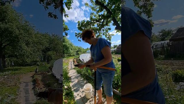 Как надеть ГРИПСЫ на ТОРНАДИК