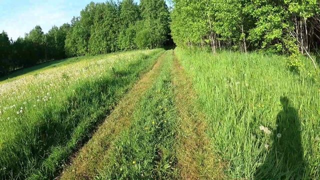 День 497. Пришла жара. Дистанция 18 километров.